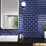 Frame Cobalt - WC amb - BIS1007